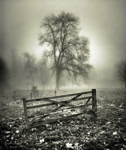 Gate fog