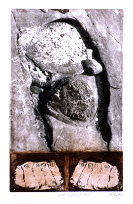 Meta-morphosis X (Primo)