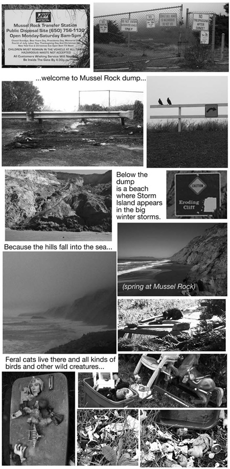 Welcome to Mussel Rock Dump