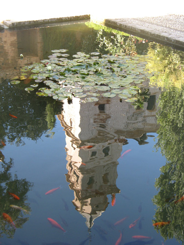 Al Hambra Reflections