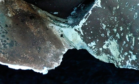 Wings, by Marja-Leena Rathje