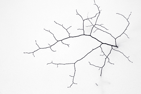 economy of line, by Michael Aanji Crowley economy of line, by Michael Aanji Crowley