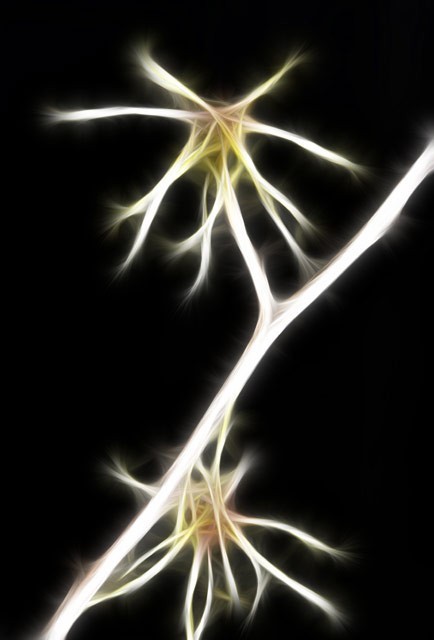 Visual Economy, by Anne Morrison Smyth Visual Economy, by Anne Morrison Smyth