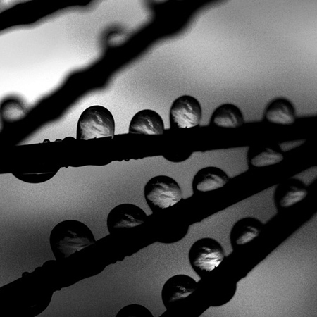 Claire Quigley, 3layersquarestroke