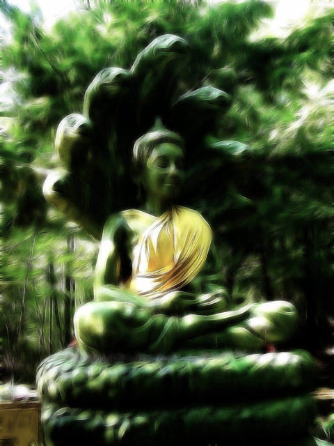 Dream, by Anne Morrison Smyth