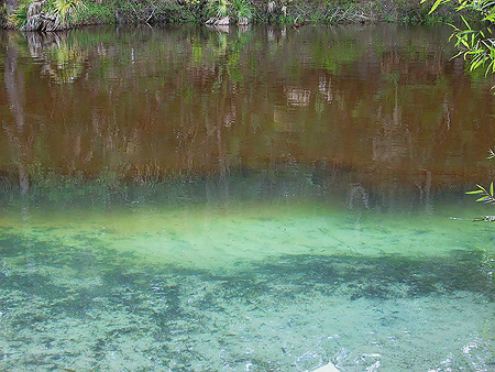 Lithia Springs by Steve Meador