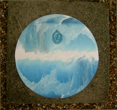 Ice Babies II by Aine Scannell