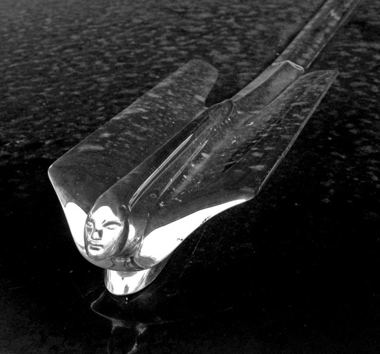 click to see larger Cadillac Gargoyle, by Steve Wing