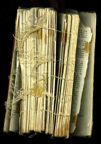 English-Finnish dictionary spine, by Marja-Lenna Rathje