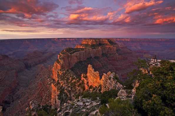 Worshipping at Woton's Throne by Gordon Smith (click to enlarge) Worshipping at Woton's Throne by Gordon Smith