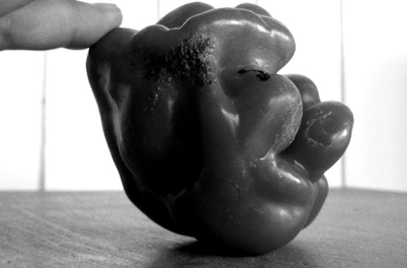 Homage to Edward Weston (photo of a pepper) by Karen Greenbaum-Maya
