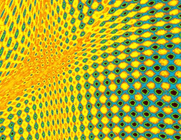 rectilinear fatigue by Steve Wing