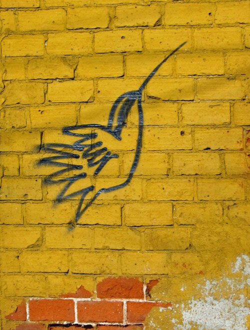 griffitoed hummingbird on a yellow wall - photo